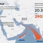 photo_5947457041632794099_x