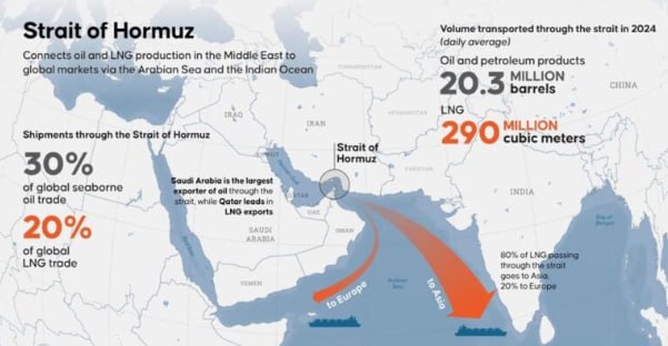 photo_5947457041632794099_x